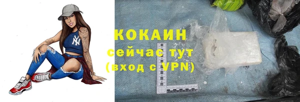 соль ск Мегион