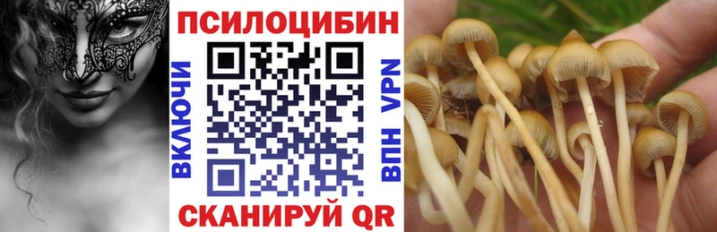 Псилоцибиновые грибы Psilocybine cubensis  Купить  Богданович 